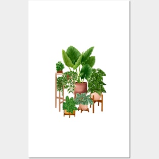 House plants collection 40 Posters and Art